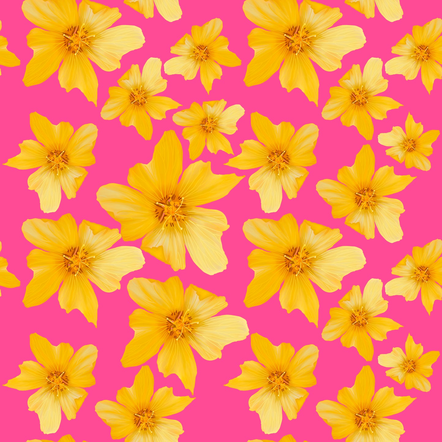 'Ilima- Pink Lemonade♡