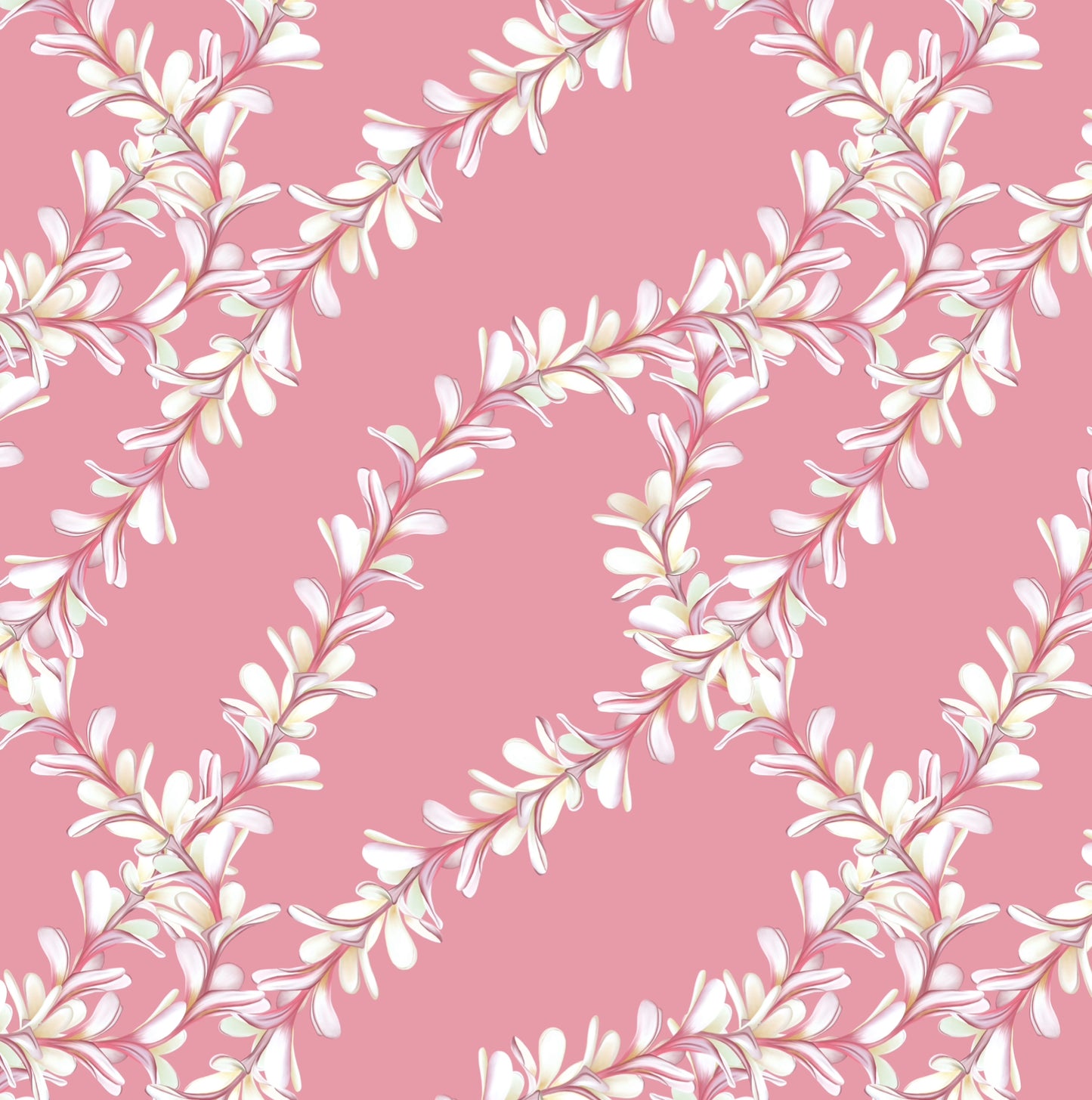 Pink Plumeria♡