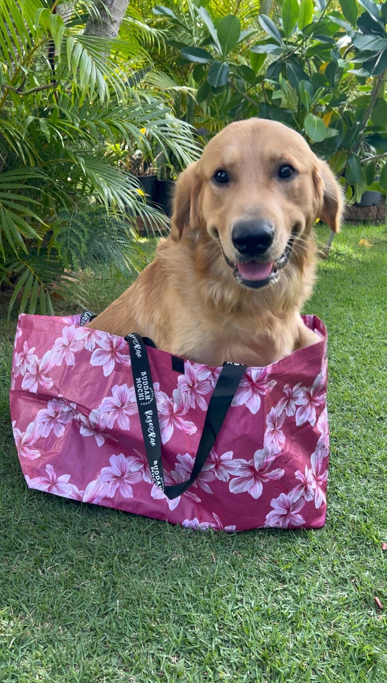 R♡R x BMK COLLAB BOMBUCHA BAG♡