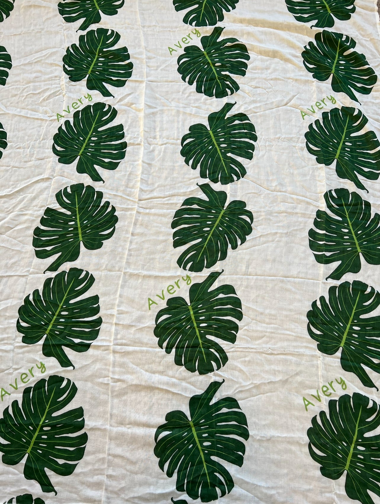 Green Monstera♡