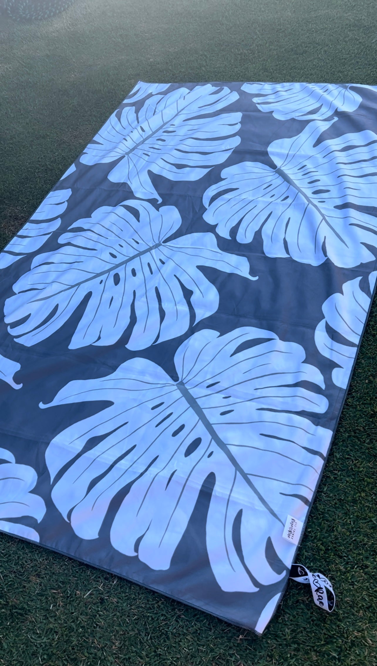 Gray Monstera/ʻOpihi Towel♡