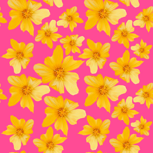'Ilima- Pink Lemonade♡